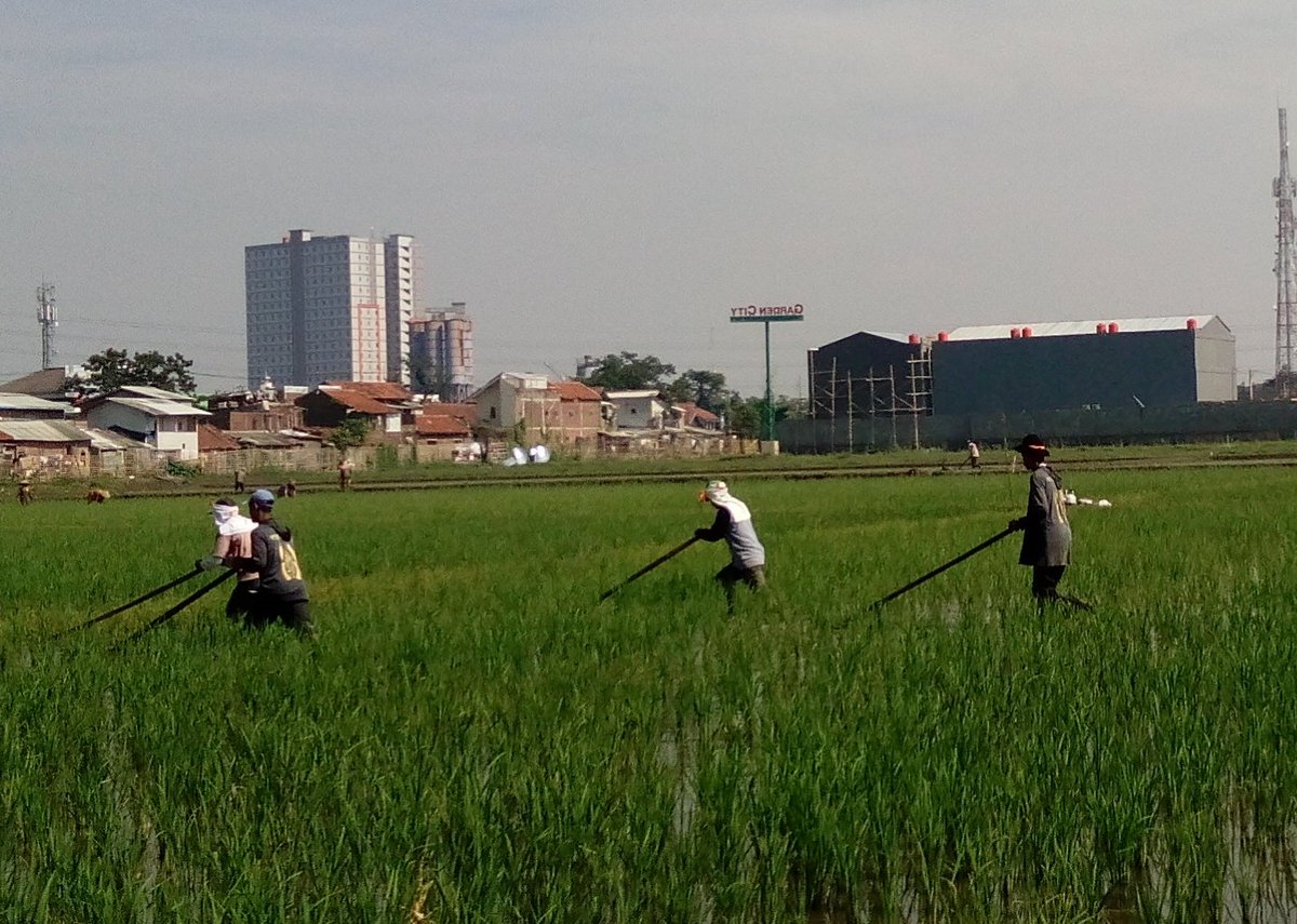 Semangat Pagi Semesta Indonesia  ....