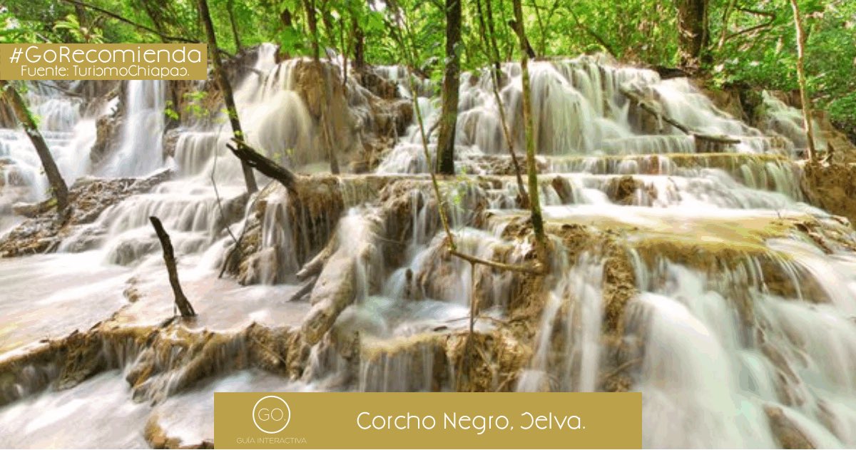 GoRecomienda's tweet photo. Disfrutar y conocer de la naturaleza en la Selva Lacandona, #Chiapas #GoRecomienda https://t.co/z7mYOFuUS0