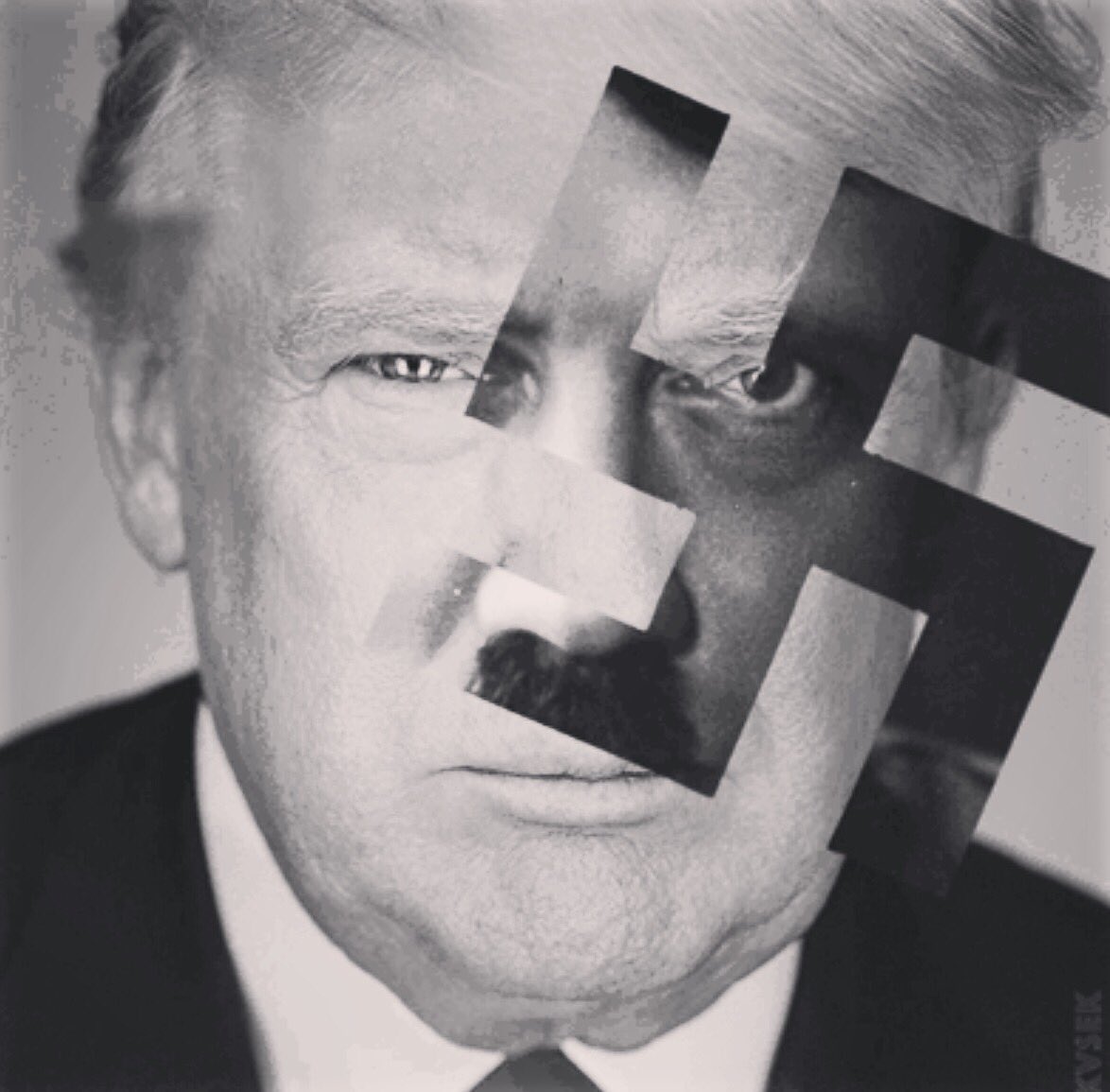 bellasaurusrekt's tweet photo. Dear @realDonaldTrump you're a right piece of shit, you know that right? Racist, Nazi germ. 
Lol, #bye 👋🏽 #trump https://t.co/Vm59mzlsLp