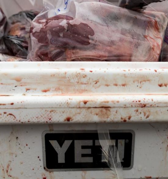 outdoorlife's tweet image. Tips for Cooling and Temporary Storage of Wild Game Meat bit.ly/1Tx03RZ