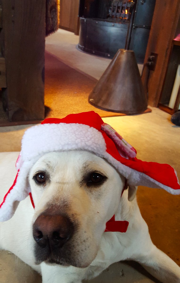 Come escape from the rain in our cozy tasting room! #WineDogs #ElNino