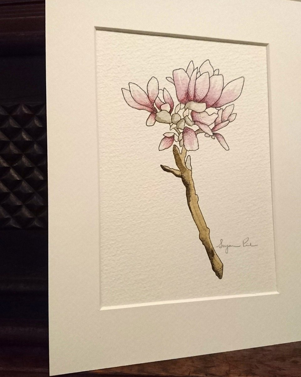 suzanne_pink's tweet photo. Original Spring illustrations tomorrow @HandmadePalace @CPFoodMarket 10am - 3pm #MothersDay https://t.co/zAZEDz3NM0