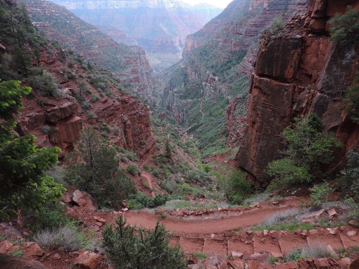 mountainaxel's tweet photo. #FBF My Grand Canyon Rim2Rim2Rim hike:47 miles, over 20,000ft elevation change &amp; I finished in 25hrs. #grandcanyon https://t.co/F9amf0Sf8s