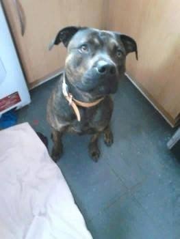 Nichola Jayne tweet media