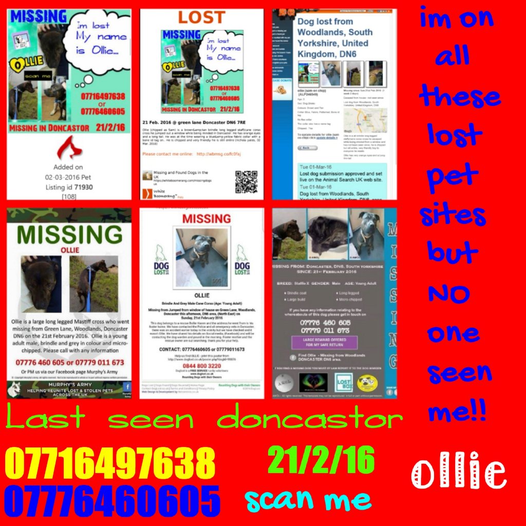 Nichola Jayne tweet media