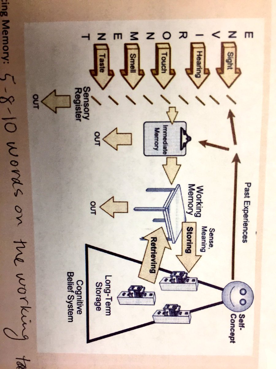 carnol2 tweet picture
