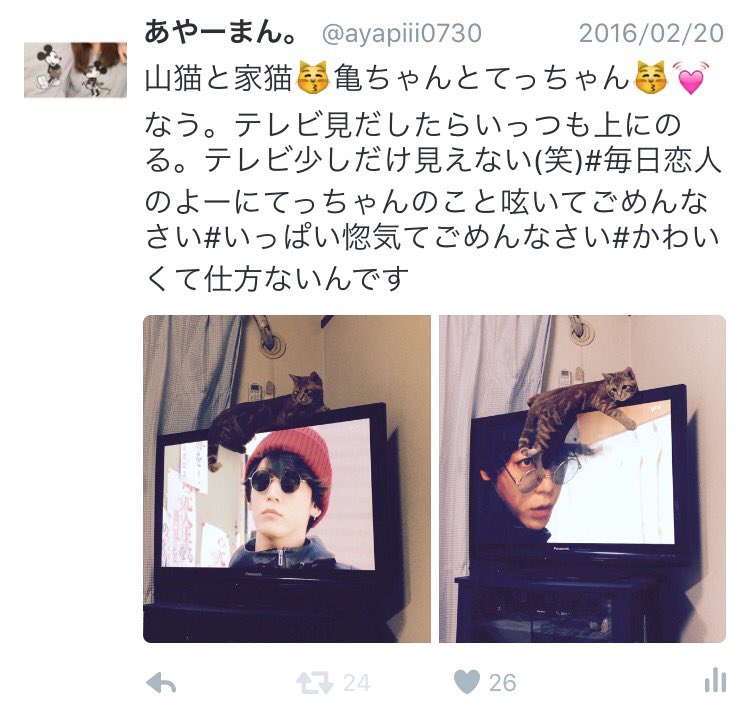 Follow 田中輝樹 S 2udyndvzmu9mzpj Latest Tweets Twitter