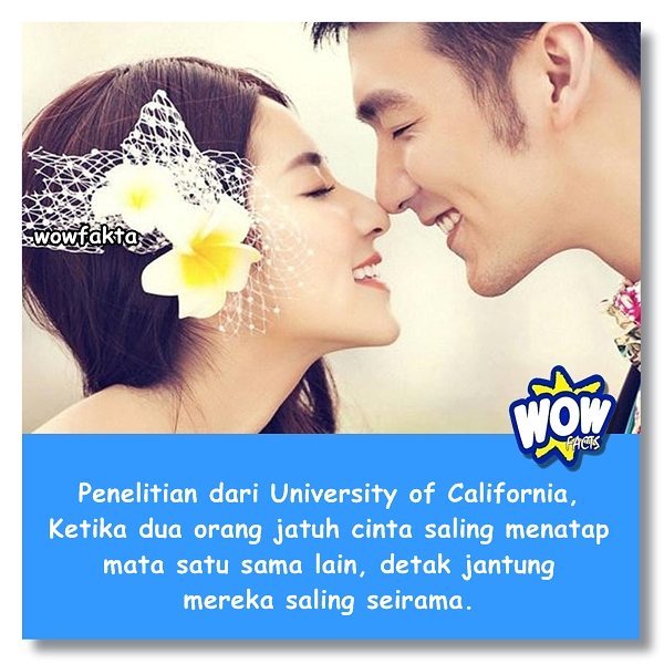 Faktagram hari ini: #tahukahkamu #tahukahanda #wowfakta #fakta #faktanya #wow #mostpopular … ift.tt/1QXE6e5