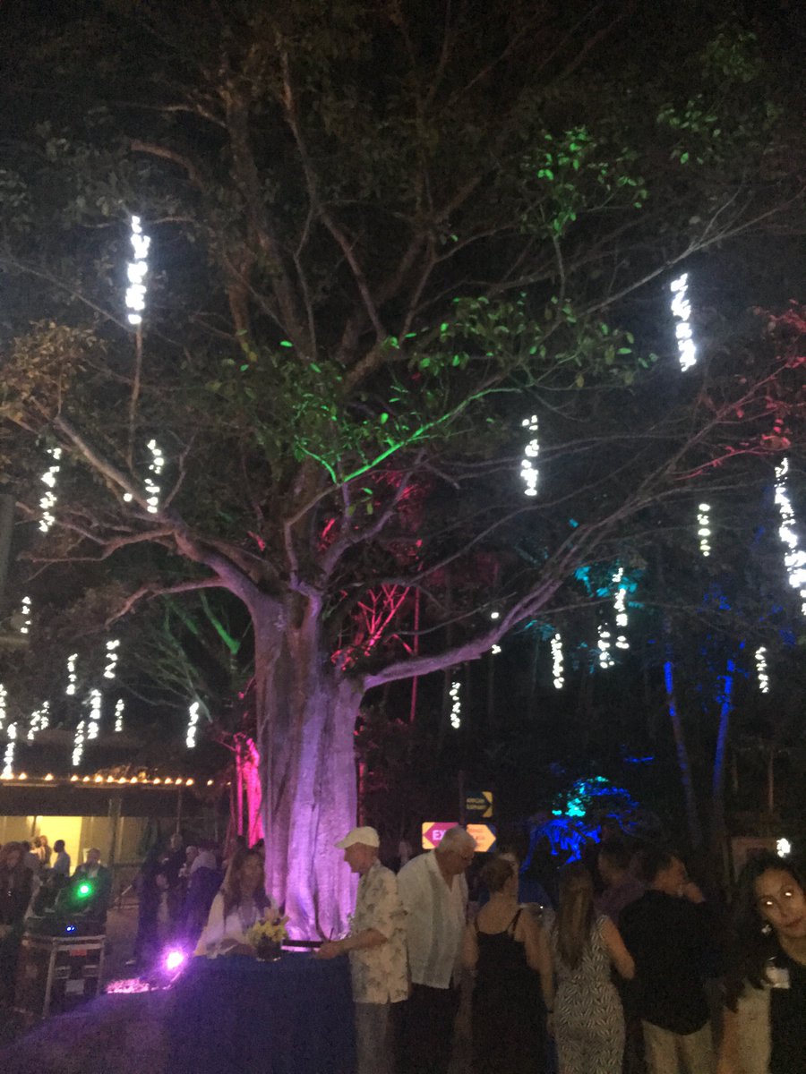 zoomiami's tweet photo. An evening under the stars at #zoomiami! #fwtb16 #vip #beastkeeper https://t.co/xsYheUxOJi