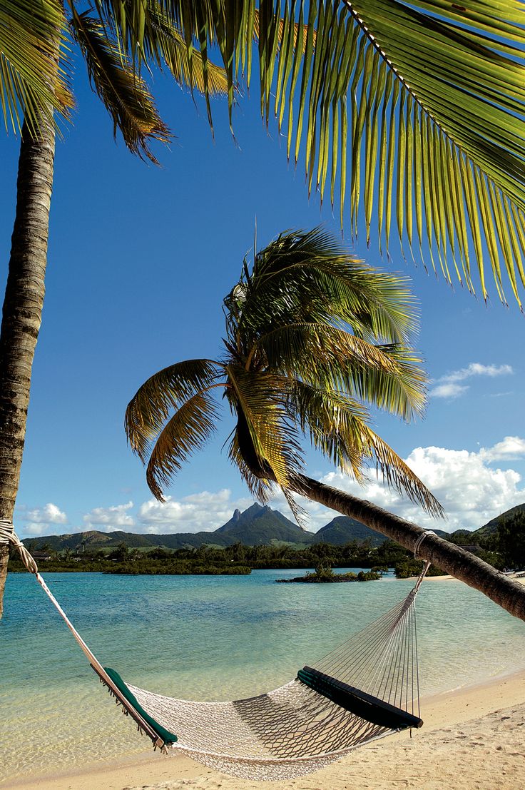 Mauritius Island tweet media