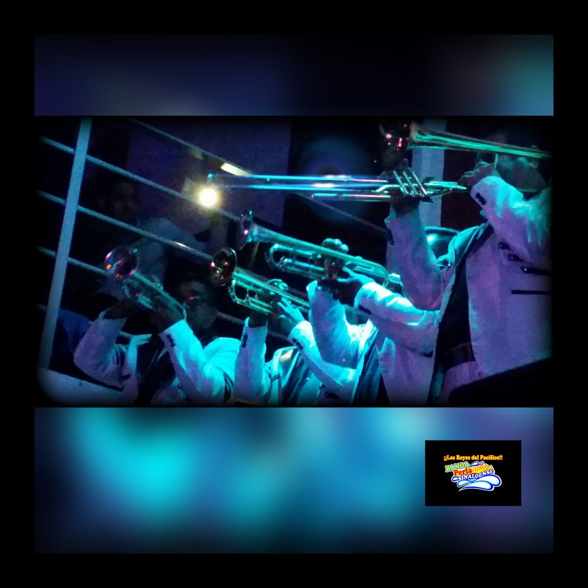 PerlaSinaloense's tweet image. #BandaPerlaSinaloense