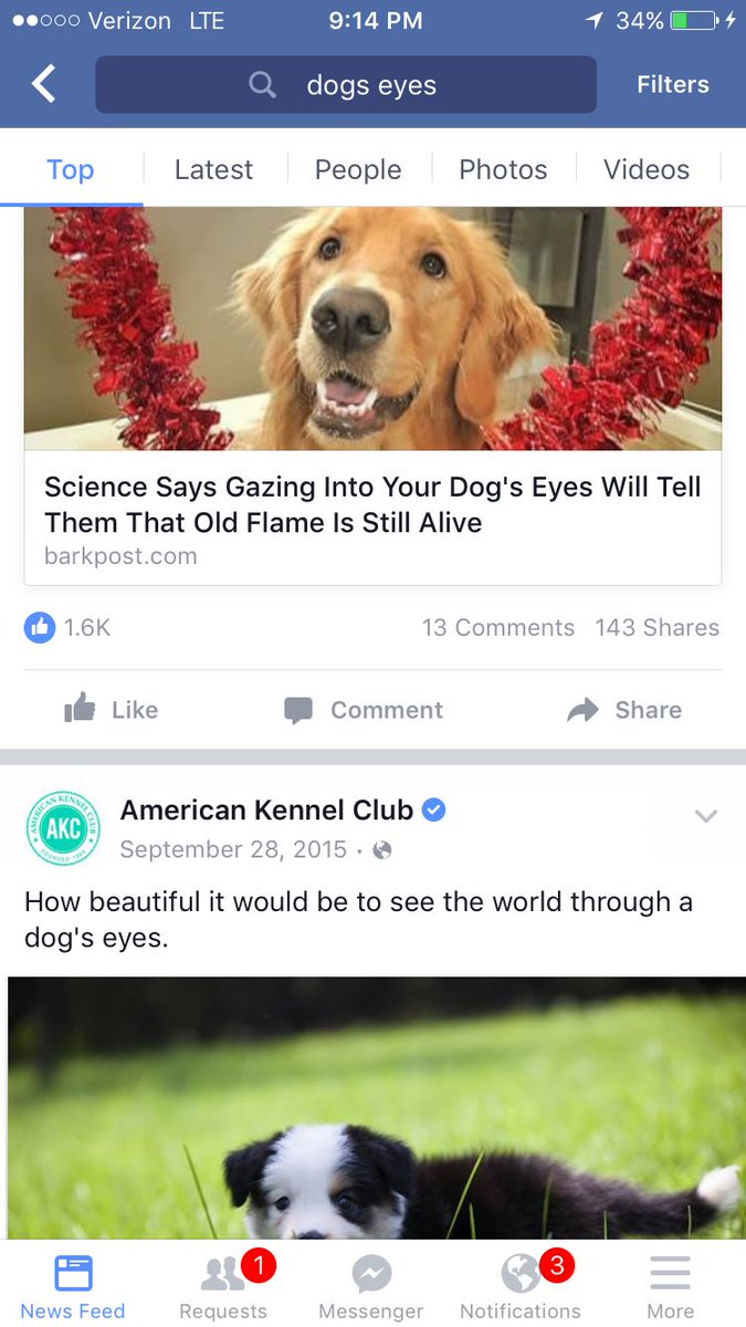 searching facebook for 'dogs eyes'