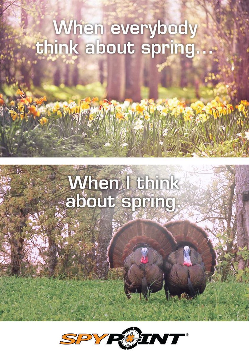 JRCustomCalls's tweet photo. #springturkey #turkeyhunting #TalkinTurkey #backwoodslife #seasoniscoming #grabyourgun #gobbler #turkeycalls https://t.co/DvBau6zmpT