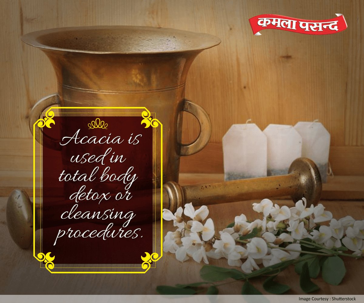 KPPanMasala's tweet photo. Acacia is administered as an important fiber in the cleansing process.
#CleansingProcess https://t.co/yrPYNcUEkH