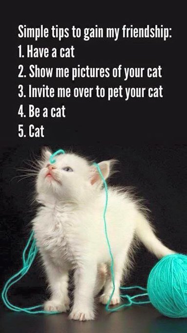 Meow 🐱 #catsoneverything #meow #cat #catlife #animals #furbaby #iwantthemAll #fluffy https://t.co/1n<a href="/tag/catsoneverything"class="tags">#catsoneverything</a><a href="/tag/meow"class="tags">#meow</a><a href="/tag/cat"class="tags">#cat</a><a href="/tag/catlife"class="tags">#catlife</a><a href="/tag/animals"class="tags">#animals</a><a href="/tag/furbaby"class="tags"><span>#furbaby</span></a><a href="/tag/fluffy"class="tags"><span>#fluffy</span></a><a href="/tag/iwantthemall"class="tags"><span>#iwantthemall</span></a>