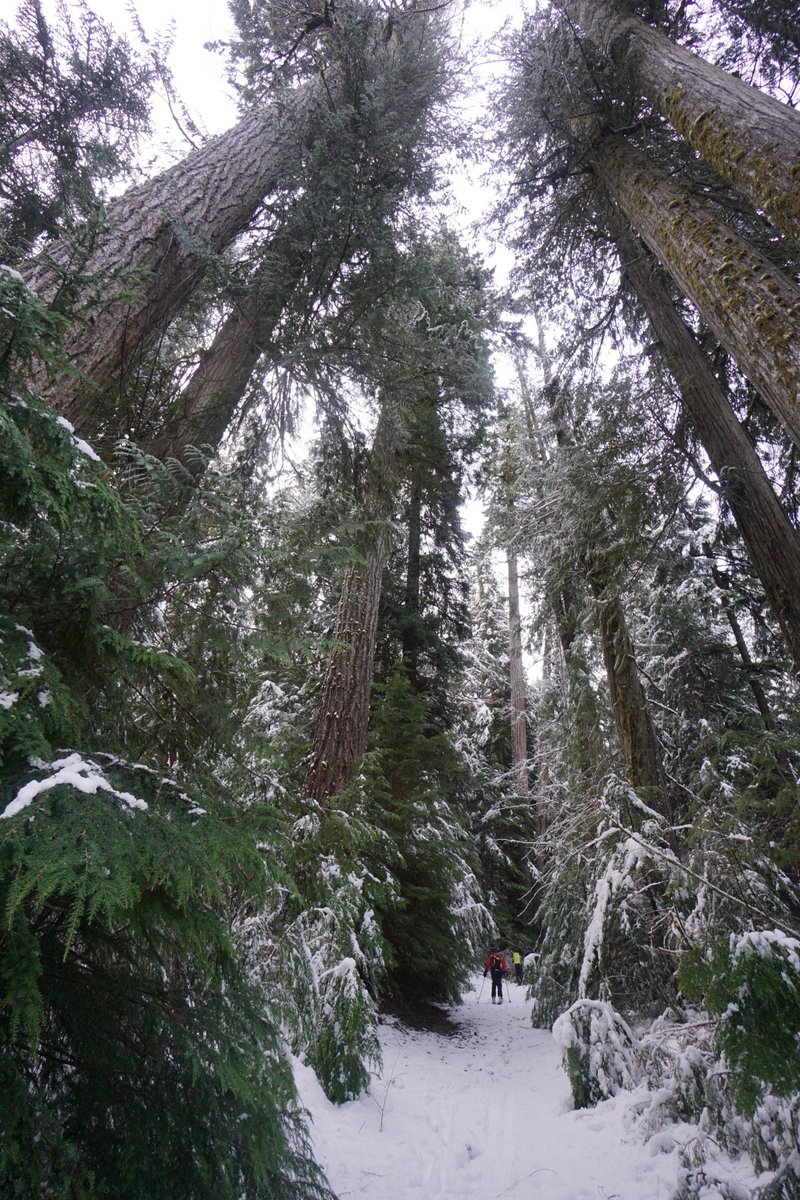 Thanks for being interested in my photos and putting together this interview Sceenry Mag! sceenry.com/blog/2016/2/24…