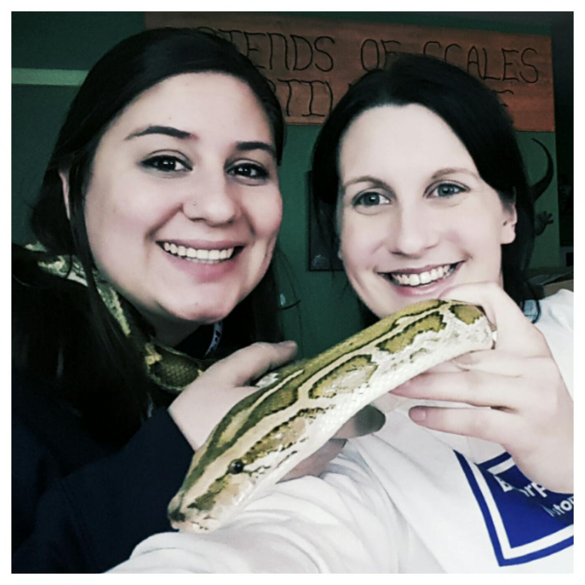 FriendsofScales's tweet photo. New ambassador Burmese python Arrow with our Secretary and President! #friendsofscales https://t.co/5twAdWHuHl