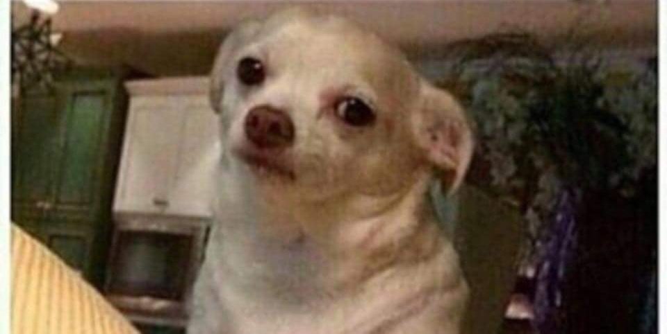 When your boy owes you money, but you see him buying Wendy's.