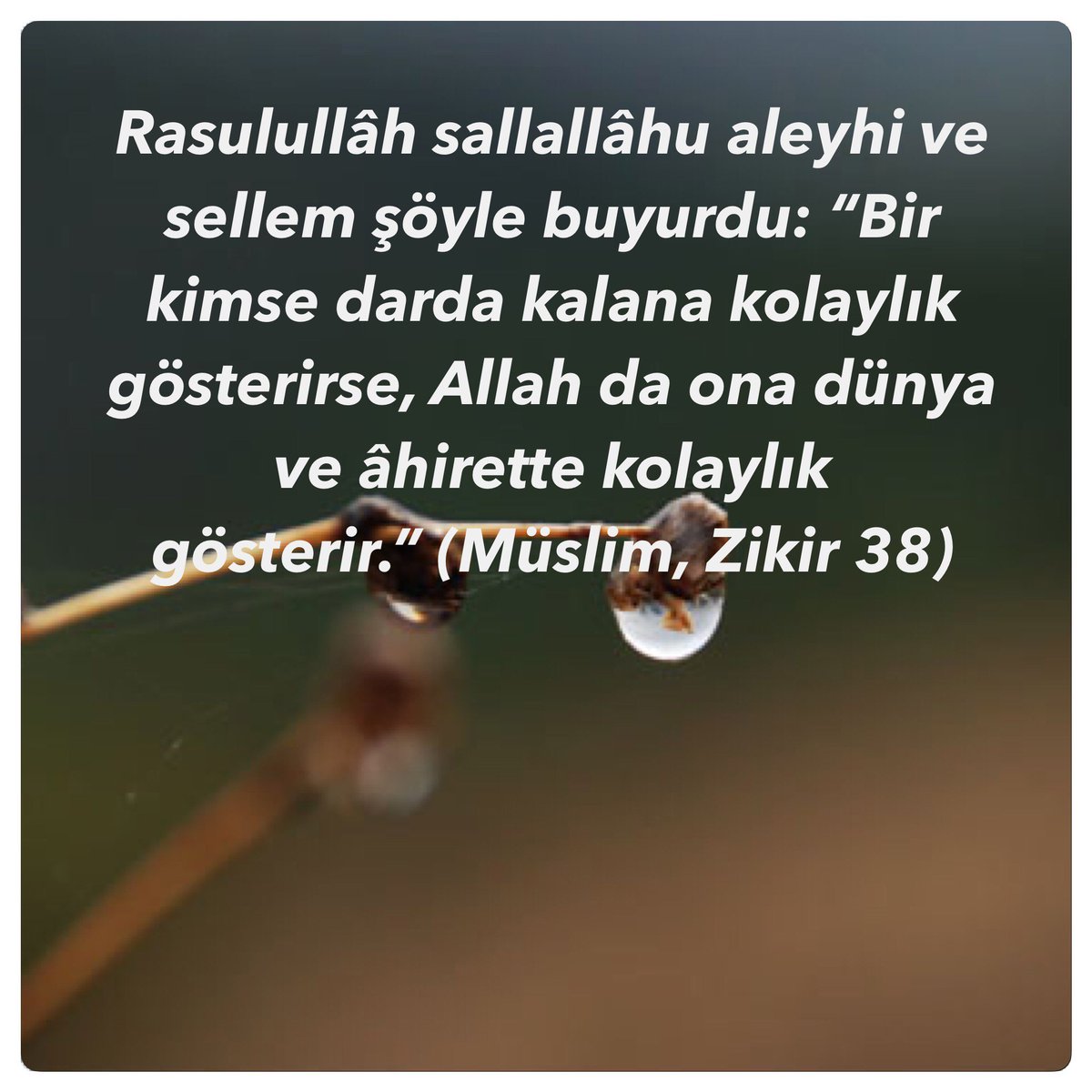 hadisderyasii's tweet photo. “Bir kimse darda kalana kolaylık gösterirse, Allah da ona dünya ve âhirette kolaylık gösterir.” (Müslim, Zikir 38) https://t.co/2lFlbwKCkG