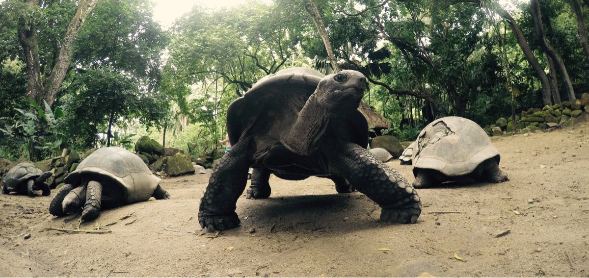 When Trying To Pose But Friends Are Passed Out
TheGoProZone.com for Best Priced GoPro Gear