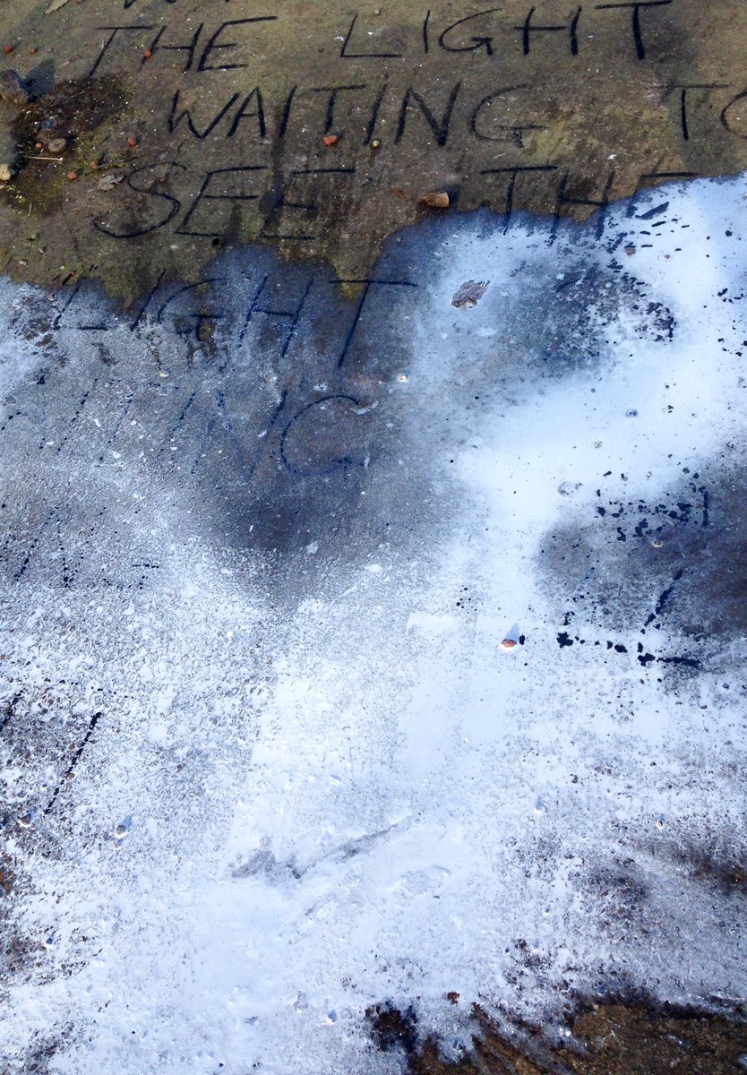 Landlayers tweet picture