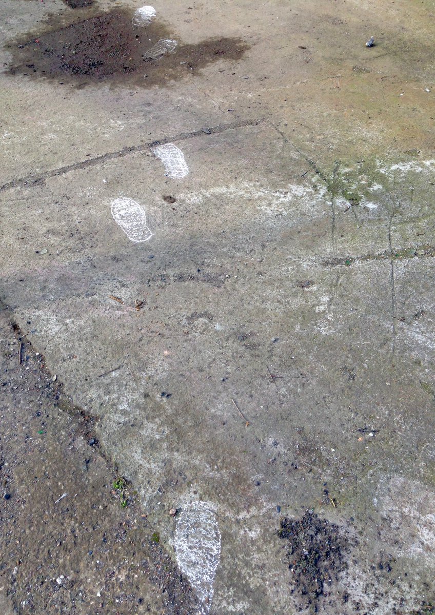 Landlayers tweet picture