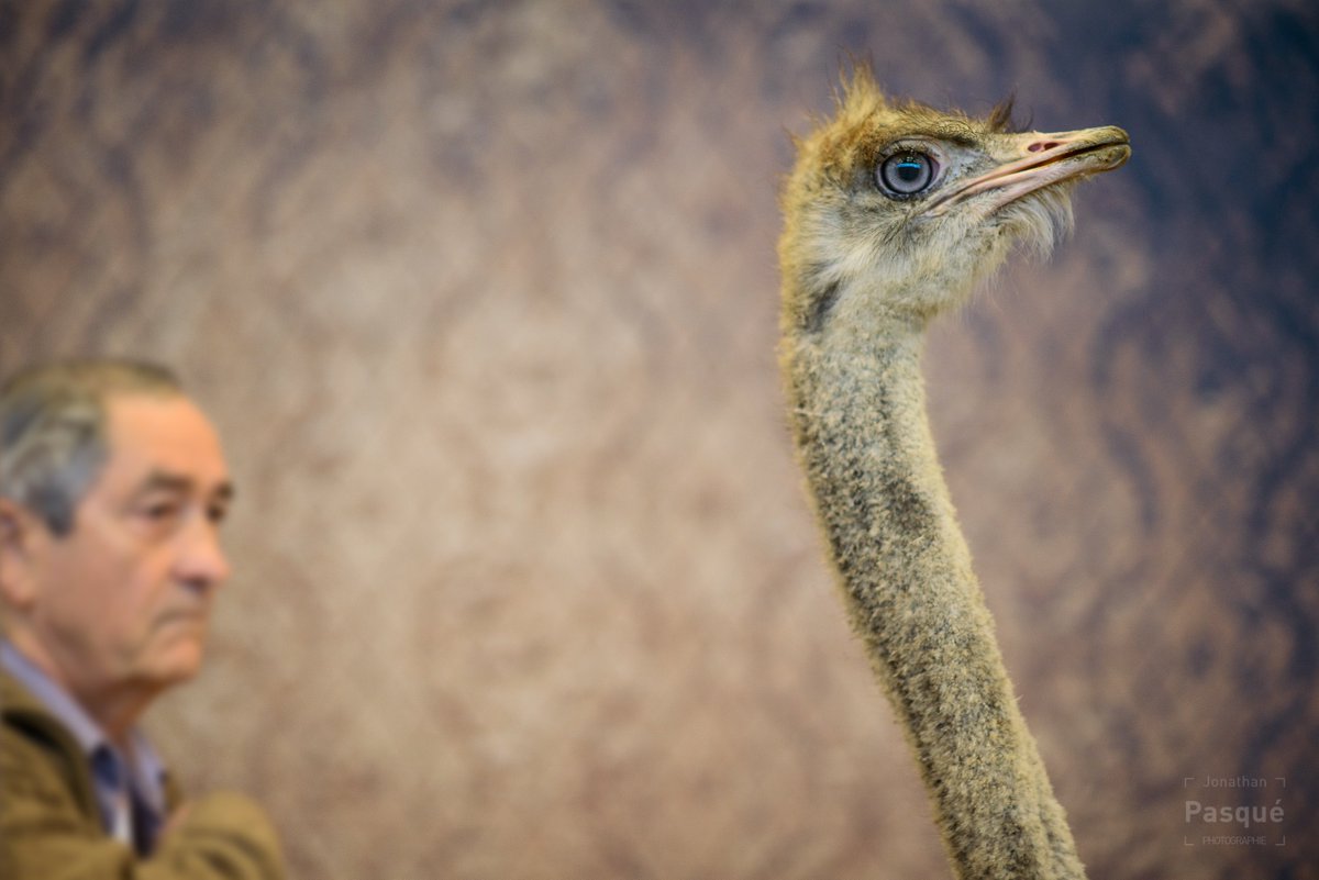 Portrait du jour au #SIA2016 dans la série « Métiers à tisser » par <a href="/JonathanPasque/">Jonathan Pasqué</a>

-> francetv.in/MetiersATisser