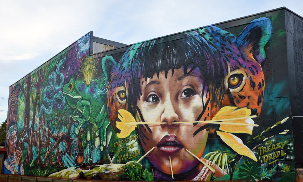 Queensland's tweet image. BLOG:  Another 36 photos of Toowoomba street art j.mp/1Wgqo4y
 #thisisqueensland