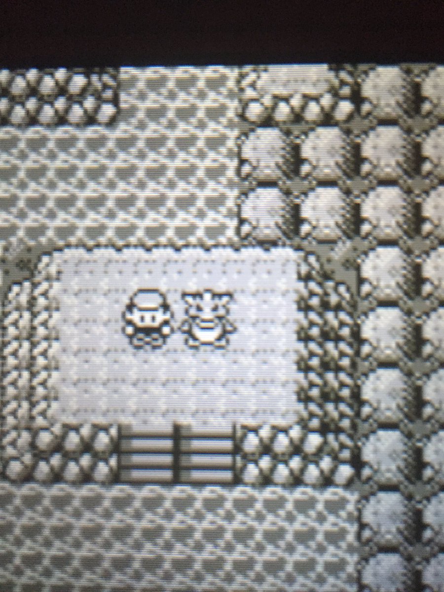 Trainer8lue's tweet photo. https://t.co/MqvHFhxUDh