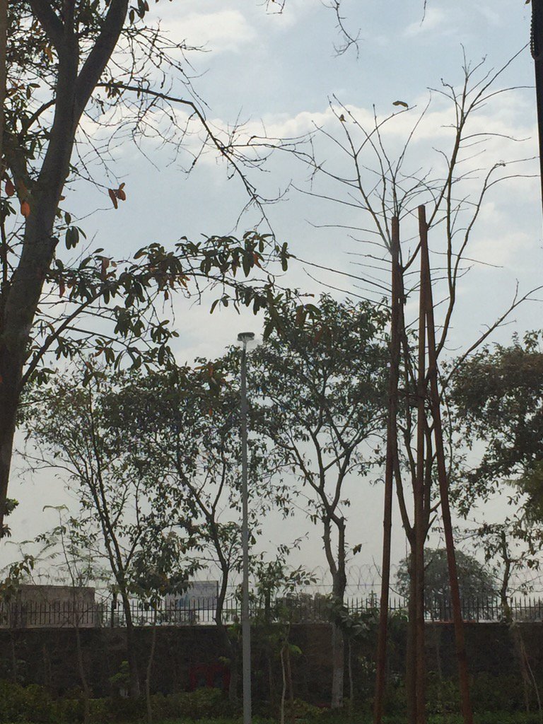 deepalinaair's tweet image. boring part of #teaching today :) #papercorrection wid a gorgeous view n sound of birds fr company