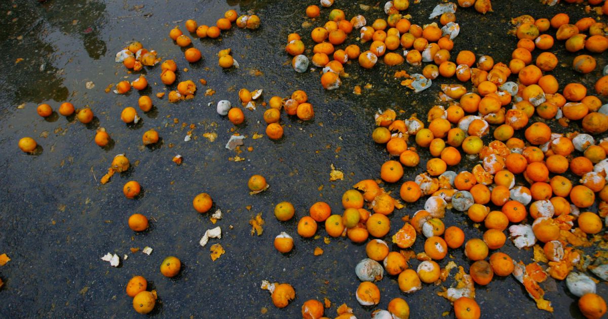 splinter_news's tweet image. By 2050, the world may not be able to eat its fruits and vegetables fus.in/21OFLUX