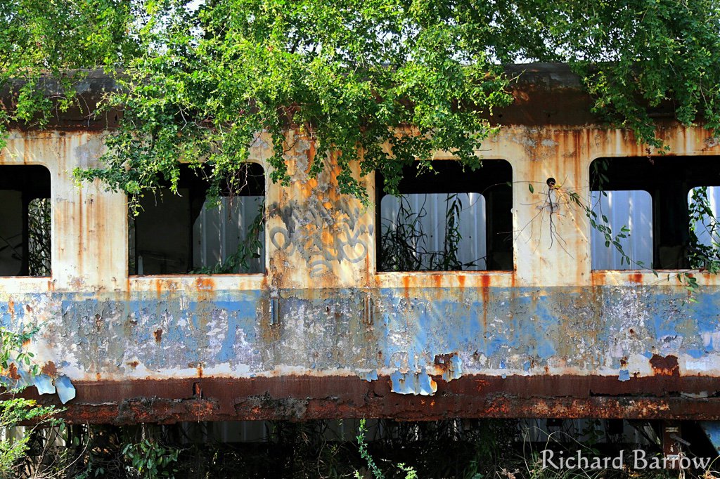 RichardBarrow's tweet photo. Some abandoned carriages along the railway line in Samut Sakhon, taken over by nature #Thailand https://t.co/2jmZnsF9I5