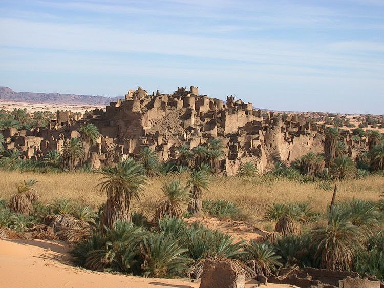 Tedhil tweet picture