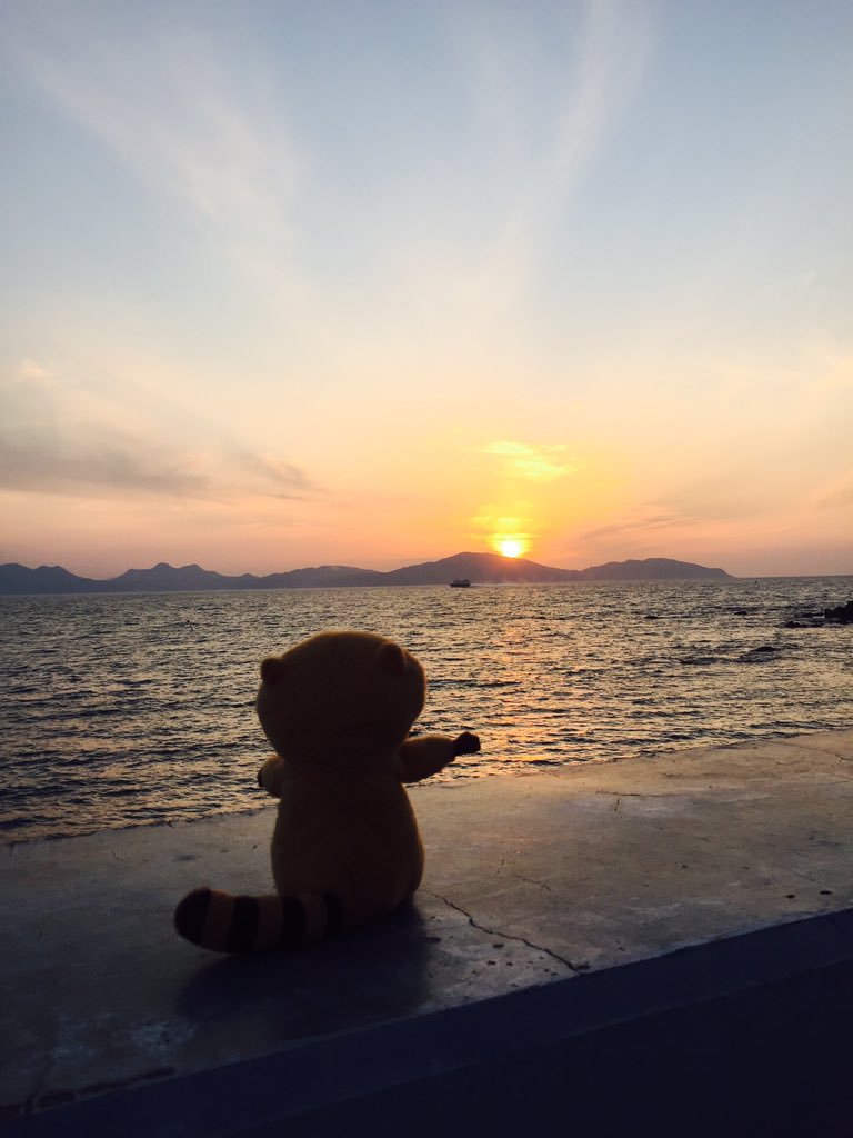 Rascal_koke's tweet image. 黄昏てます。