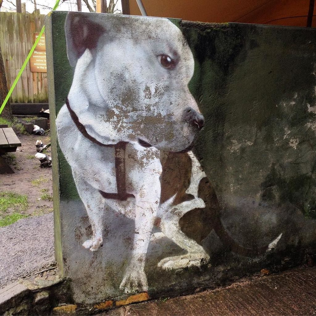 StArtEverywhere's tweet photo. #dog by ?? #bristolstreetart #streetart #streetartlover #streetarteverywhere #streetartbristol #tv_streetart #notba… https://t.co/QSVQwFNSfe