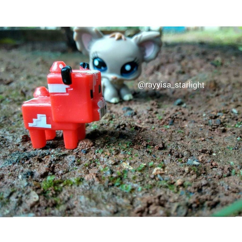 Madbull_FE_'s tweet photo. Minecraft in LPS world?!
#mc #minecraftpe #minecraft #mooshroomcow #cow #lps #littlestpetshop #oldlps #saveoldlps #… https://t.co/wIczeMq6jK