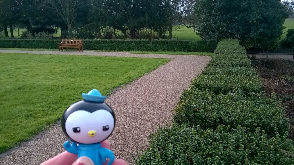 tallrunningirl's tweet photo. Waiting for the @darleyparkrun to start, and you find your son's Peso toy in your pocket.... #randomfindoftheday https://t.co/cJBuq7zGAq