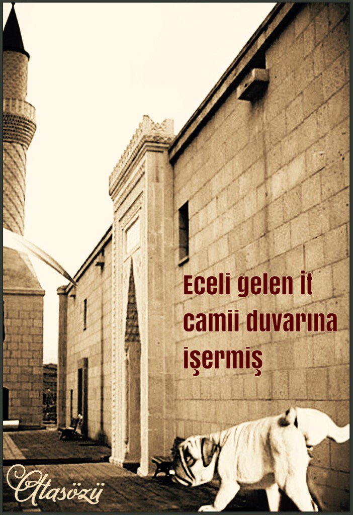 Dr Kudret On Twitter Eceli Gelen Kopek Camii Duvarina Isermis Https T Co Llchxrtzfp