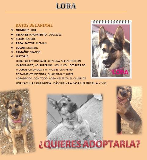 SonrisaAnimaLIniesta tweet media