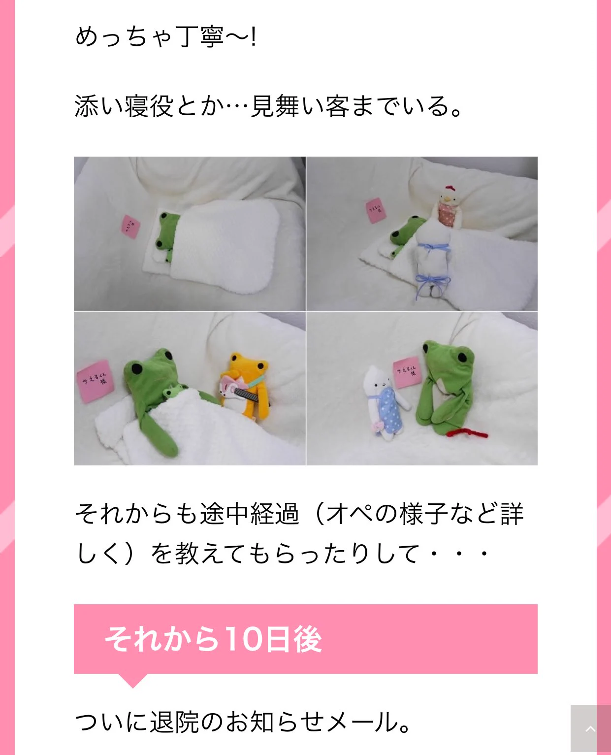 これは嬉しい・・大事なぬいぐるみをキレイにして大切に扱ってくれる「ぬいぐるみの病院」が神すぎる・・