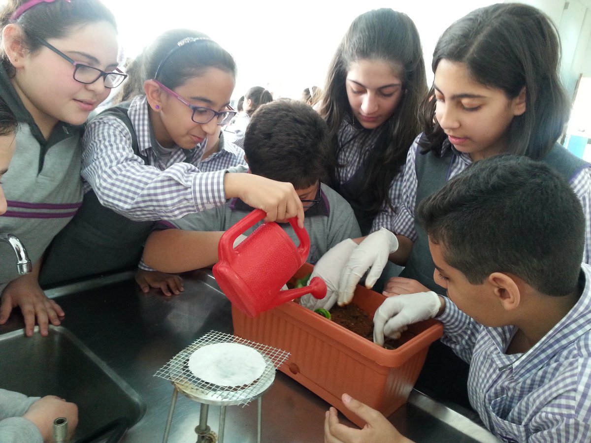 DawhaLab's tweet photo. Grade6 Learners#asexual reproduction#planting onion@DawhaHighSchool https://t.co/D5Cw0C26Rv