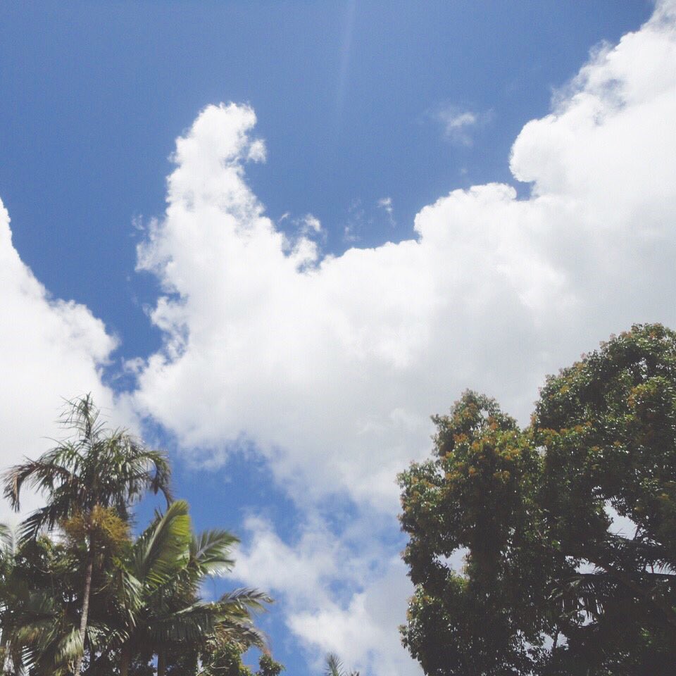 itsmius's tweet photo. 🌸follow spree🌸

💐:17歳
🌎:Jpn/Aus
🌞:harrystyles
📷:Me

写真は全部自分で撮ったものです！
RT&amp;Follow待ってます😻💗

#海外好きな人RT
#RTした人で気になった人フォローする https://t.co/IHshvtGoEp