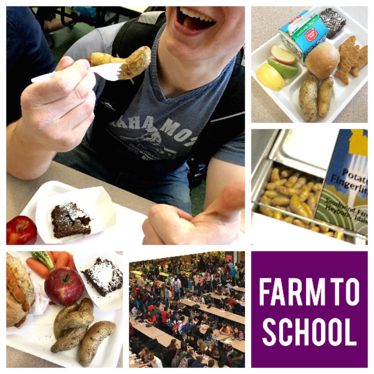 SW_fingerlings's tweet image. Served up #fingerlings in #middletonidaho for #idahoday Kids went #gaga! #farmtoschool #schoollunch #idahopotatoes