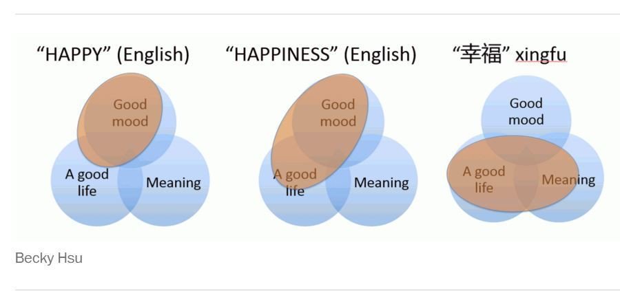 К счастью на английском. Счастье на английском. Meaning of Happiness. Different meaning of Happiness. They say people are bron different.