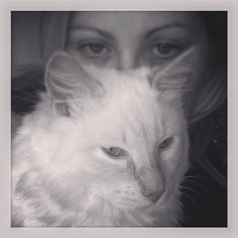 catzpics's tweet photo. https://t.co/orDBFi64re