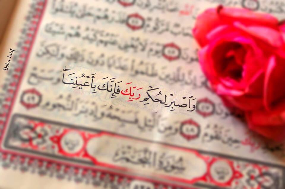 Bahrawy___'s tweet photo. وَاصبِرٌ لحُكمِ رَبِّكَ فَإِنَّكَ بِأَعيُنِنَا...👇🏾🙏🏾 https://t.co/yFmFkPTX5i