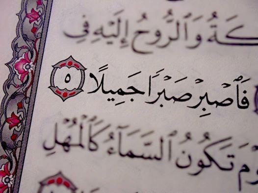 Bahrawy___'s tweet photo. وَاصبِرٌ لحُكمِ رَبِّكَ فَإِنَّكَ بِأَعيُنِنَا...👇🏾🙏🏾 https://t.co/yFmFkPTX5i