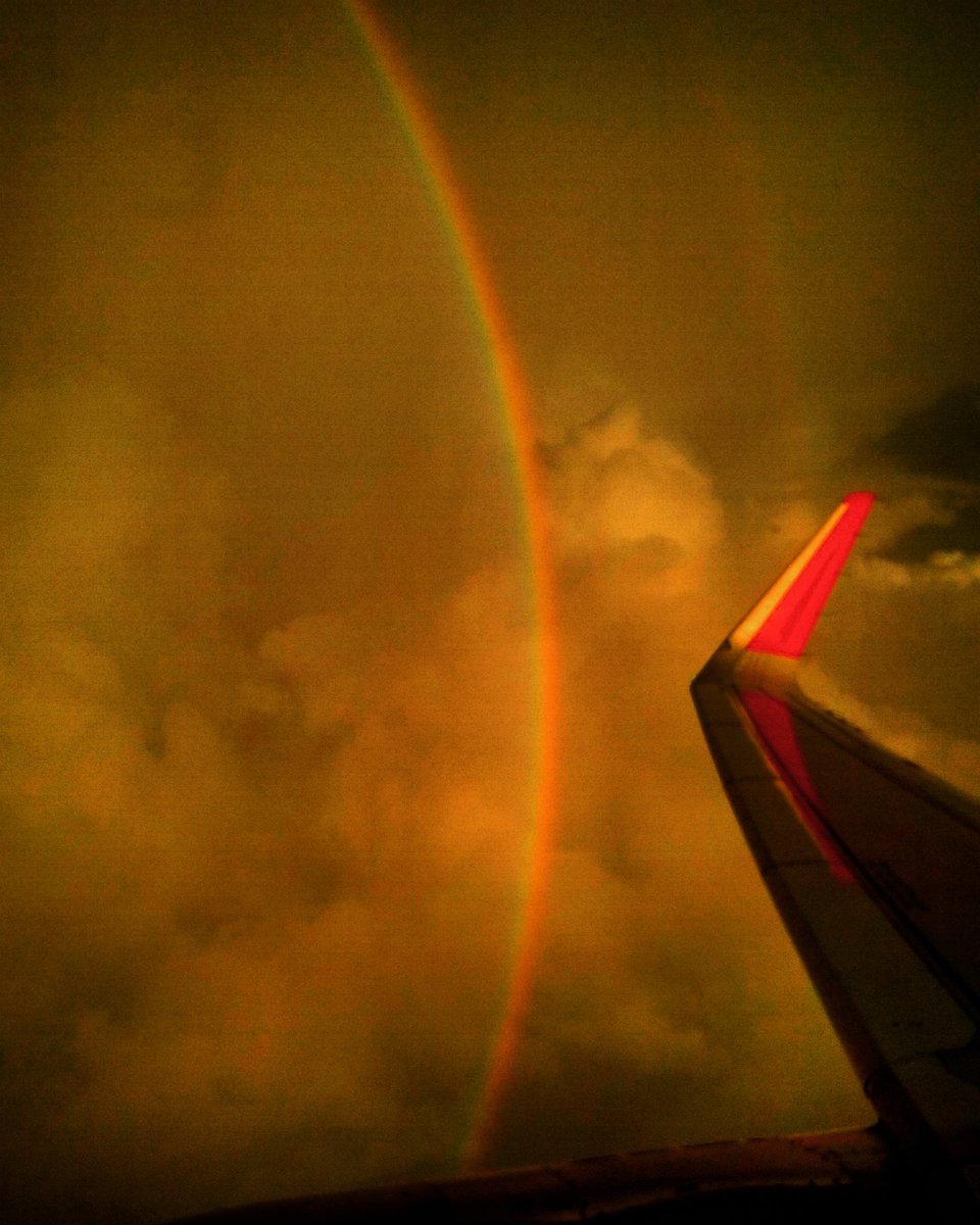 Michael Galardi tweet media