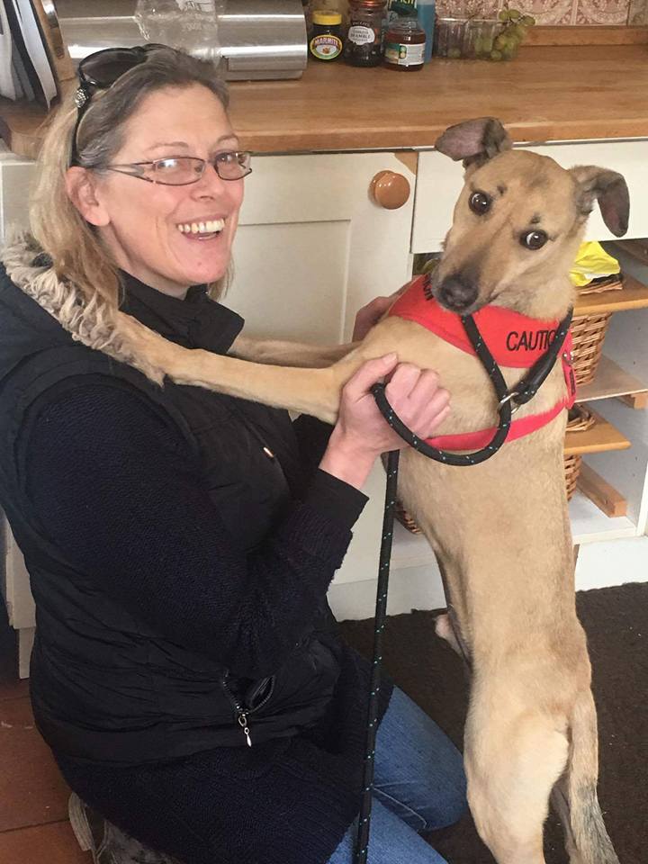 OAPSchat's tweet photo. What a #star this lady is! @HWAnimalRescue And a great friend too. 3540 views now! https://t.co/BDP7V3ykbv https://t.co/NX6I6AaXYL