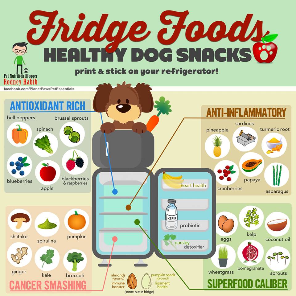 SweetCharityDog's tweet image. Human food that is safe for your dog.  #safefordogs #dogfood
